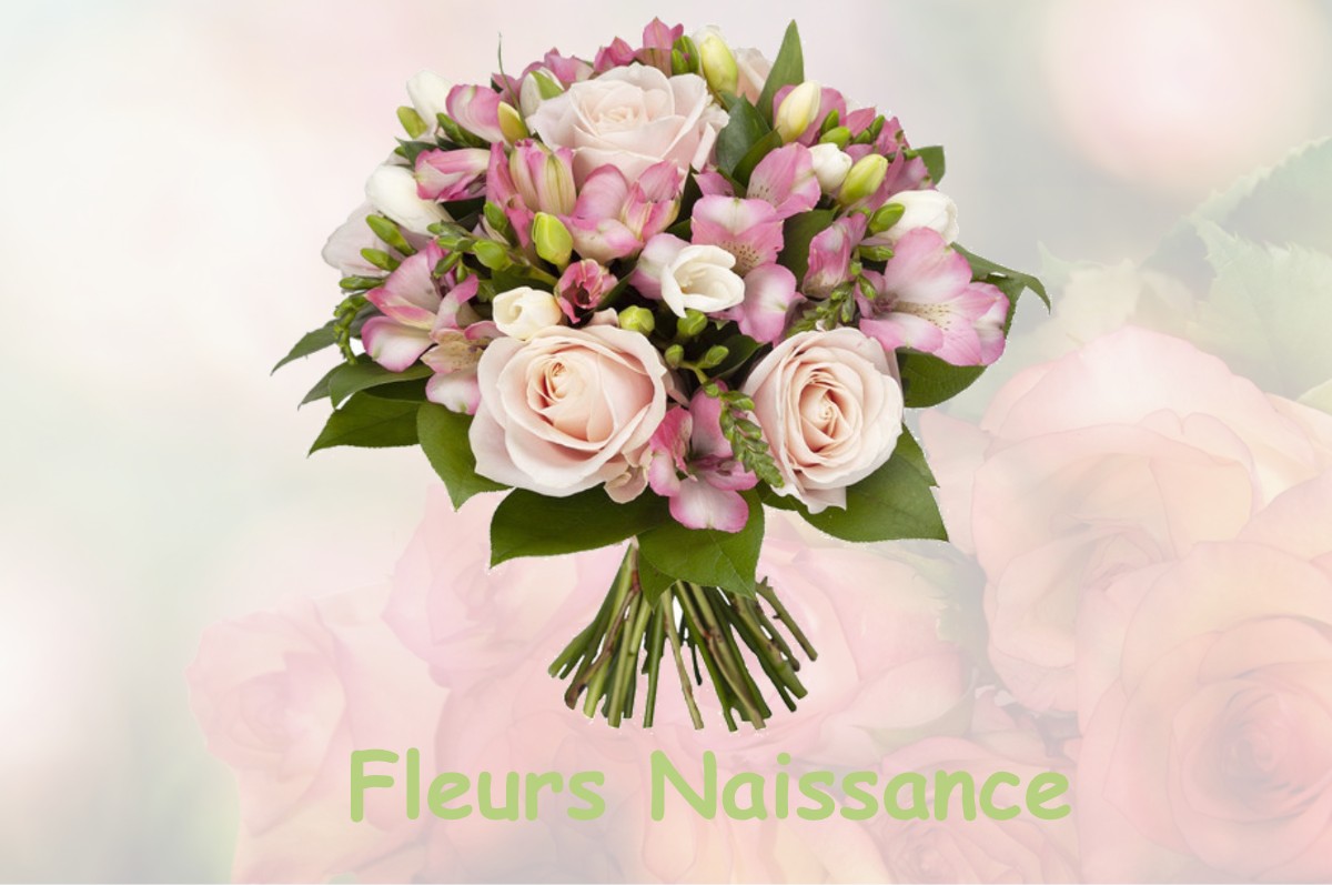 fleurs naissance SAINT-FELIX-DE-REILLAC-ET-MORTEMART